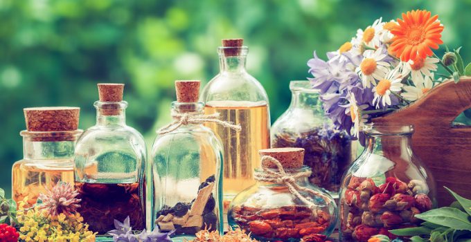 ضد درد: 13 ضد درد گیاهی، خواص، عوارض و کاربردهای آن‌ها